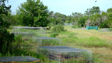 "La controversia es porque las granjas no están tan alejadas de la ciudad, e incluso a veces están muy cerca".