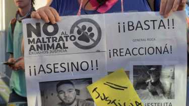 Organización protectora de animales denuncia agresiones verbales por mostrar apoyo en el caso Bairon (Foto Emiliana Cantera)