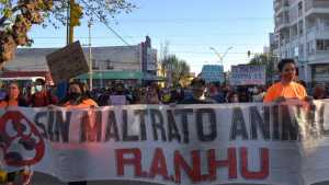 Caso Byron: Proteccionistas denuncian amenazas en Roca