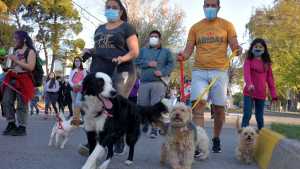 Se realizará la Feria Animalada por el día del animal en Neuquén