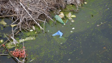 Desde el Consorcio de Riego pidieron el tratamiento urgente de los residuos contaminantes. 