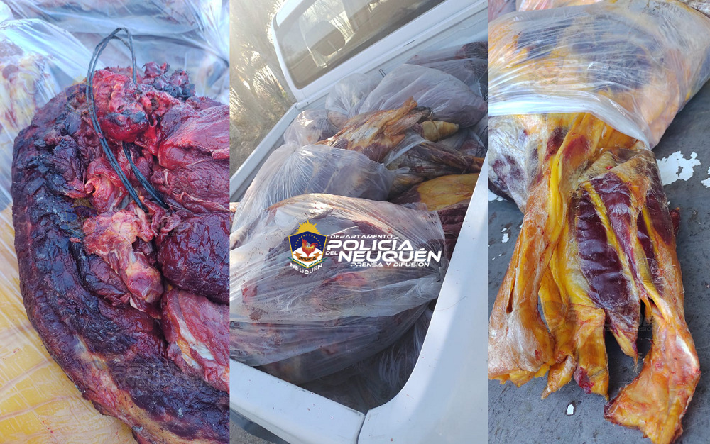 La carne era trasladada desde Cutral Co en un camión. Foto: Gentileza