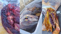 Imagen de Decomisaron 600 kilos de carne de caballo en Senillosa que venía a Neuquén