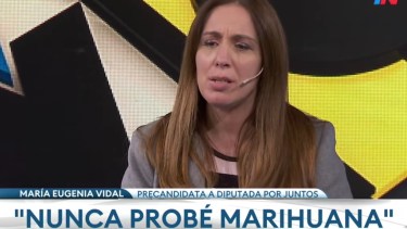 Vidal estuvo en TN. 

Foto: captura 