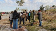 Imagen de Plantaron árboles en el CAM de Neuquén para homenajear a las víctimas de Covid