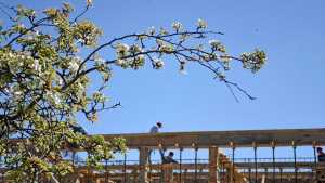 Plottier tendrá un registro de loteos que fueron aprobados por la municipalidad