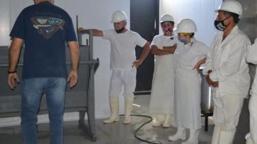 La producción quedó reducida por la capacidad de tratamiento de los desechos que tienen las instalaciones. Foto:  Gentileza.