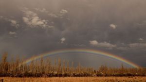 Pronóstico: ¿Llegará la tormenta de Santa Rosa? Así estará este jueves en la región