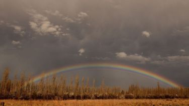 Así se pudo disfrutar el arcoíris ayer, en la región. Foto: Alejandro Carnevale.-