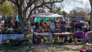 Con intercambio de semillas, vuelve el Paseo de Emprendedores este finde a Roca