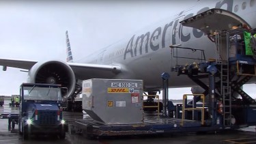 El avión de American Airlines al momento de descargar las vacunas. 