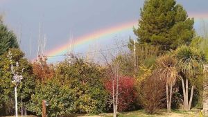 Mirá los mejores arcoíris que deja la tormenta esta tarde en la región