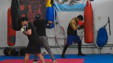 Cipolletti será sede del Campeonato Argentino de boxeo