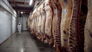 Exportación de carne: Solución salomónica a un problema económico y político