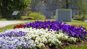 Primavera: consejos para preparar el jardín