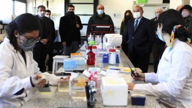 Ambos proyectos fueron presentados por investigadores del Conicet.