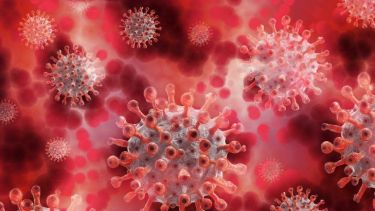 A priori, la variante Mu presenta mutaciones que podrían indicar un riesgo de "escape inmunitario" o resistencia a las vacunas. 