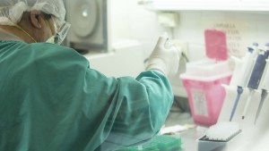 Coronavirus: Cipolletti y Bariloche concentran la mayor cantidad de casos en Río Negro