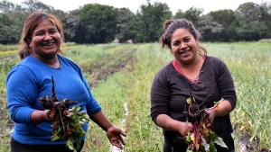 Mujeres campesinas: pilares de la producción, la vida rural y las luchas por la tierra y el ambiente
