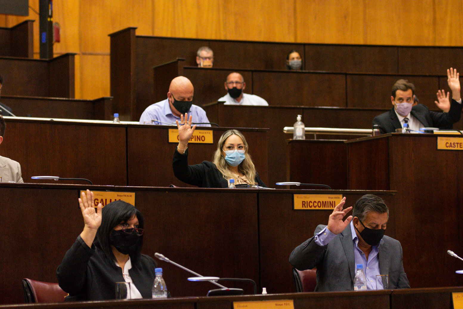 La sesión de los diputados neuquinos.  Foto: Prensa Legislatura Neuquén.