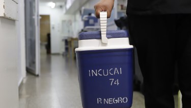 El equipo está conformado por cinco profesionales. Foto: gentileza