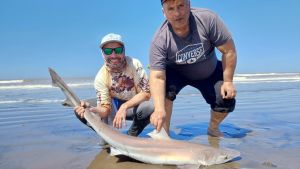 Bahía San Blas, el paraíso del pescador tiene las puertas abiertas con muy buen pique