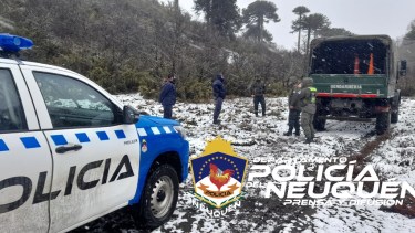 Intentó cruzar la frontera a Chile de manera ilegal por Pehuenia y fue detenido