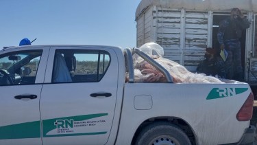 El operativo policial se realizó el jueves en Roca. 