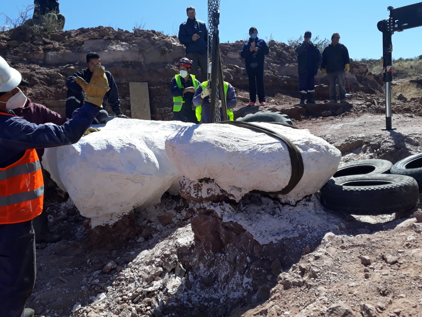 Los restos extraídos pertenecen a un dinosaurio que midió unos 25 metros de largo. Foto: Gentileza Facebook Municipalidad de Villa El Chocón. 