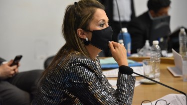 Julia Fernández (JSRN) fue la encargada de defender el proyecto en el recinto. Foto: gentileza.