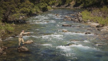 Pozón en el río Meliquina en la cordillera neuquina Foto: Patricio Rodríguez. 