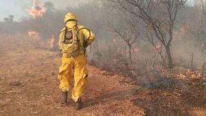 Bomberos voluntarios cordobeses