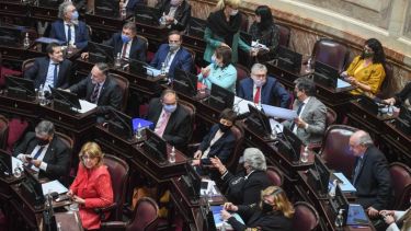 Todos los bloques en el Senado apoyaron el proyecto de declaración. 