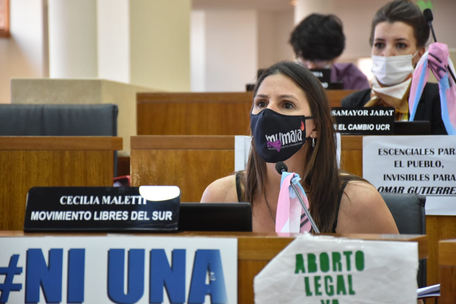 La concejala de Libres del Sur, Cecilia Maletti. Foto: Prensa Concejo Deliberante