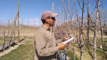 Imagen de Gestión, clave para que la empresa agropecuaria crezca