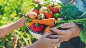 Solo 6 de cada 100 argentinos consume las cinco porciones diarias de frutas y verduras necesarias