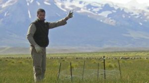 Desertificación en la Patagonia: cuáles son los verdaderos causantes