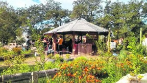 Intercambio de semillas y plantines en Senillosa