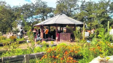 Intercambio de semillas y plantines en Senillosa