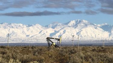 La firma destacó la diversificación de su cartera de clientes que le permitirá tener el mercado exportador.