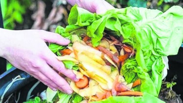 Alimentos inocuos, mejor salud
