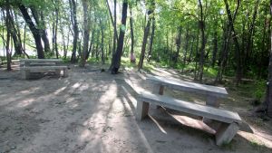Intiman al municipio de Neuquén por los humedales del río Limay