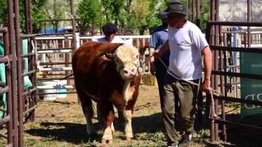 La expo rural vuelve el fin de semana con muchas actividades para toda la familia. Foto: Andrés Maripe