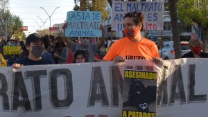 Proponen colocar una placa conmemorativa por el perro Bairon en la plaza de Roca