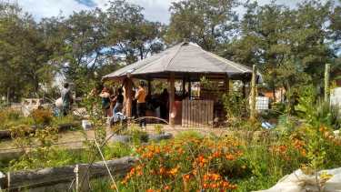 Senillosa propone una jornada de intercambio de semillas este finde