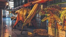 Imagen de Una nueva sala de exhibición con dinos de la región