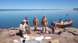 Encontraron cientos de huellas de dinosaurios en una isla de Picún Leufú