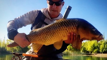 “Vení a pescar carpas, ¿Cuántas truchas sacaste de entre 5 y 7 kilos?”