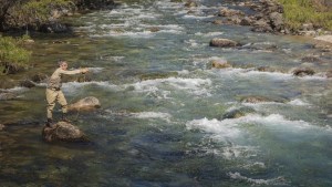 Pesca con mosca: 12 fotos que te van a dar ganas de salir ya rumbo a los paraísos de la Patagonia