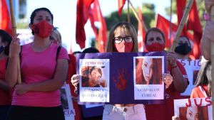 Femicidio de Guadalupe: un juez ordenó ampliar la investigación contra Videla